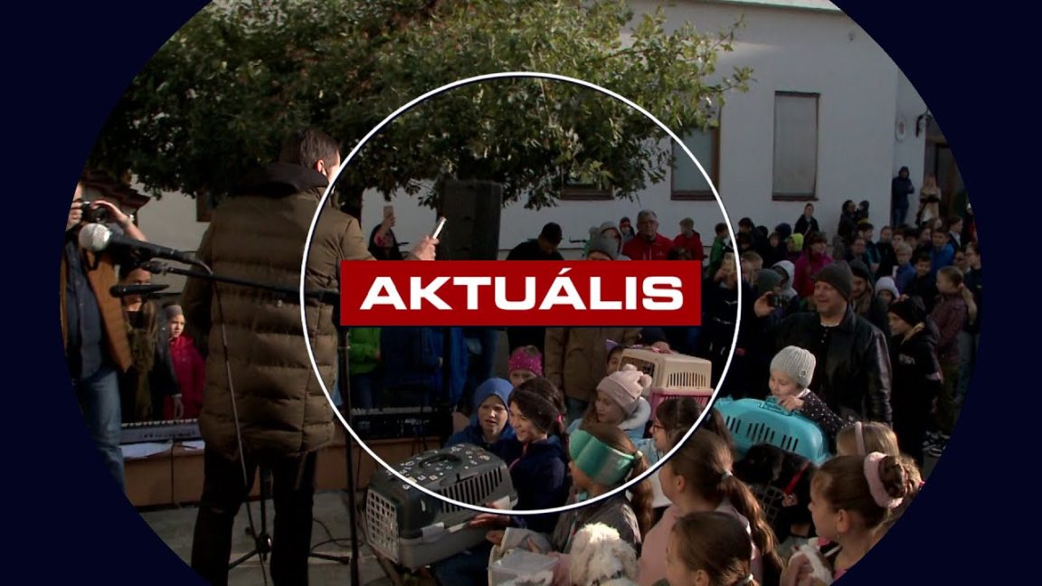 Állatokat áldottak meg a katolikus általános iskolában - Aktuális 2025.10.03.