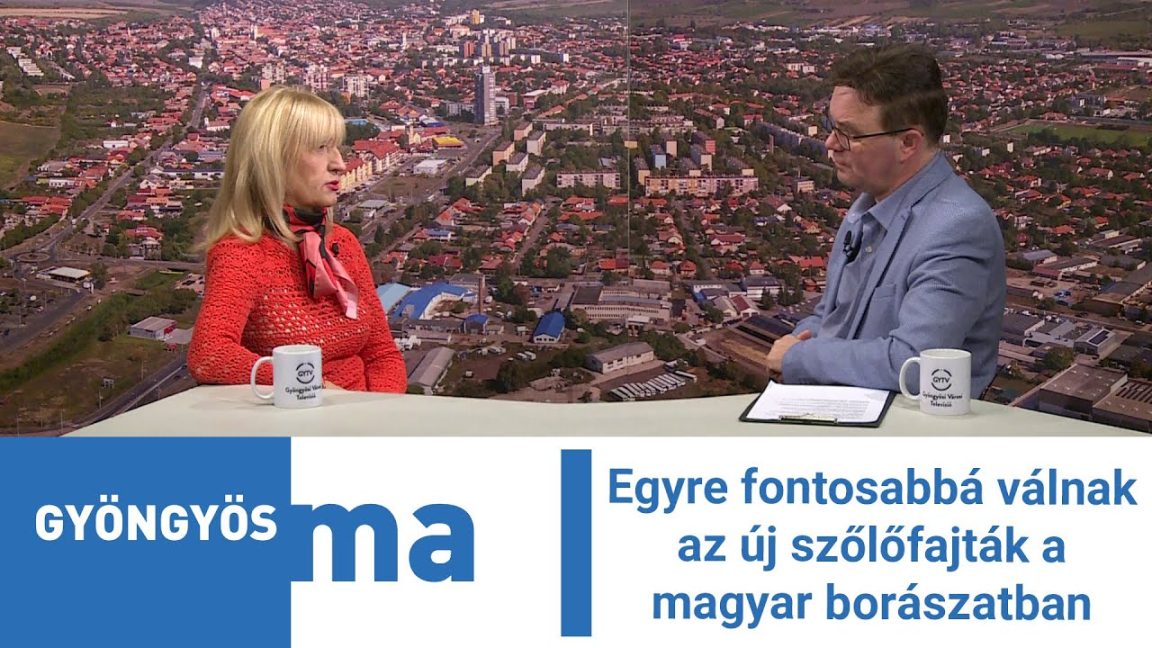 Egyre fontosabbá válnak az új szőlőfajták a magyar borászatban
