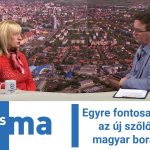Egyre fontosabbá válnak az új szőlőfajták a magyar borászatban