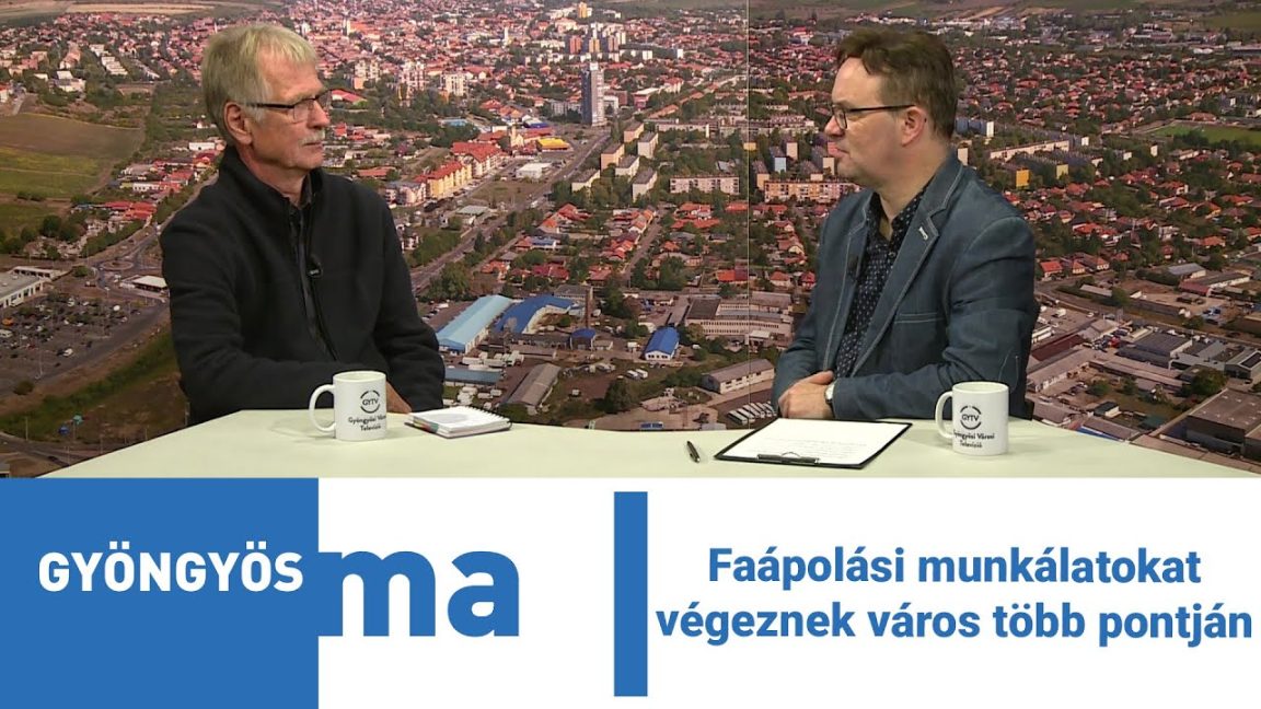 Faápolási munkálatokat végeznek város több pontján