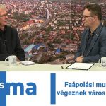 Faápolási munkálatokat végeznek város több pontján