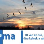 Itt van az ősz, itt van újra - útra kelnek a vándormadarak