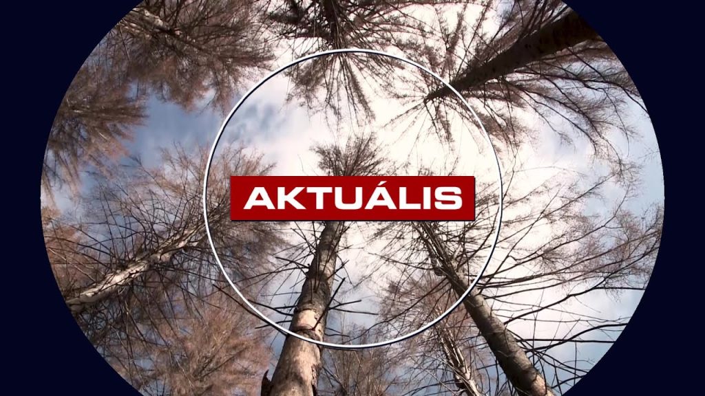 Pusztulnak a fenyvesek, tavak száradnak ki a Mátrában – Aktuális 2025.10.09.