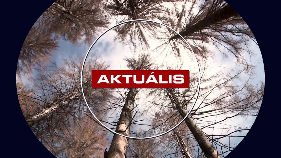 Pusztulnak a fenyvesek, tavak száradnak ki a Mátrában - Aktuális 2025.10.09.