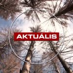 Pusztulnak a fenyvesek, tavak száradnak ki a Mátrában - Aktuális 2025.10.09.