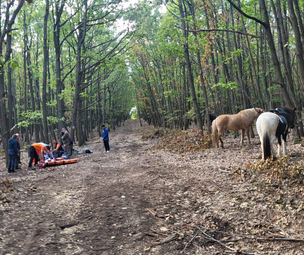 Lovas túrán elszenvedett baleset után egy japán hölgy mentésére volt szükség a Mátrában
