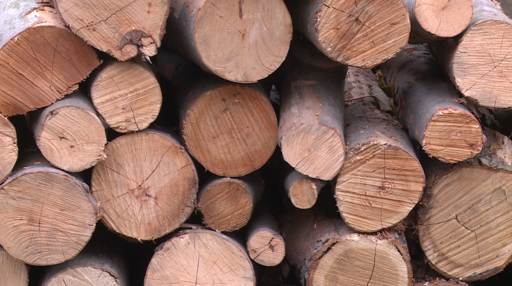 Nem változott a tűzifa ára