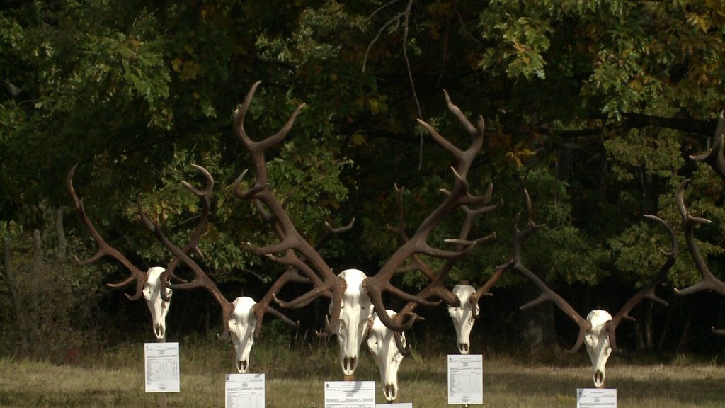 V. Heves Vármegyei Trófeaszemle