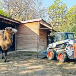 forrás: Gyöngyösi Állatkert facebook oldala