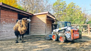 forrás: Gyöngyösi Állatkert facebook oldala