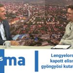 Lengyelországban kapott elismerést a gyöngyösi kutatóprofesszor