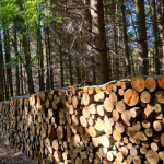 forrás: egererdo.hu