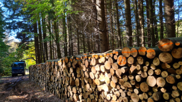 forrás: egererdo.hu