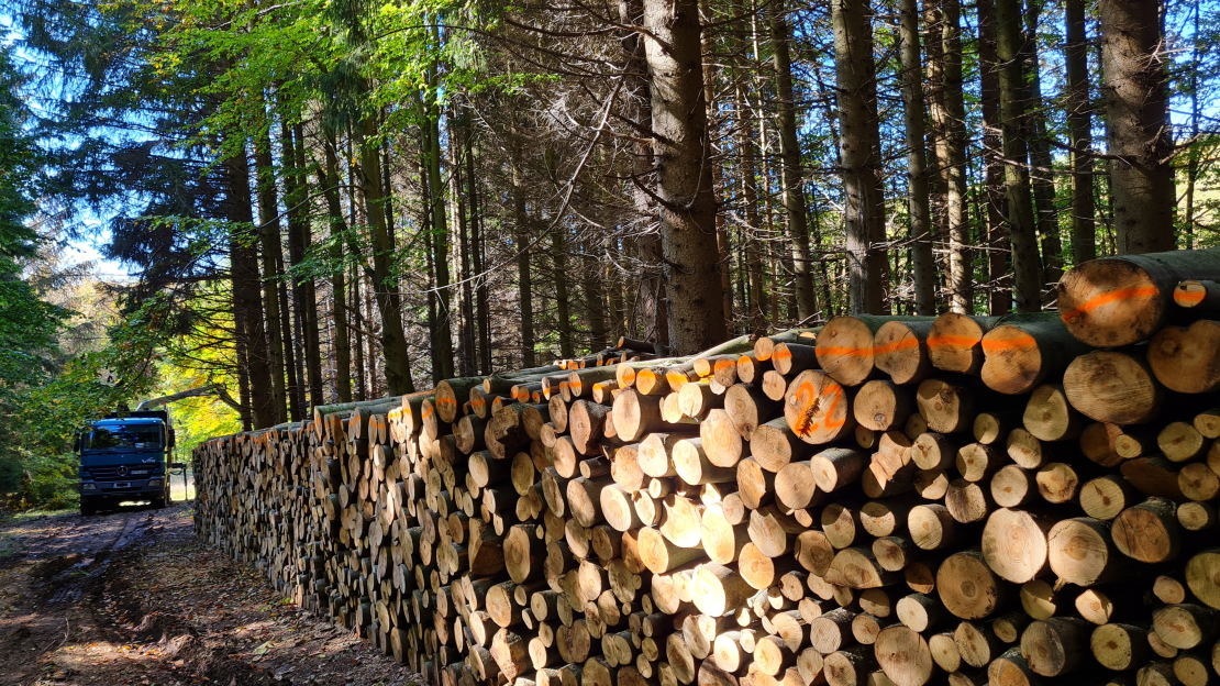 forrás: egererdo.hu