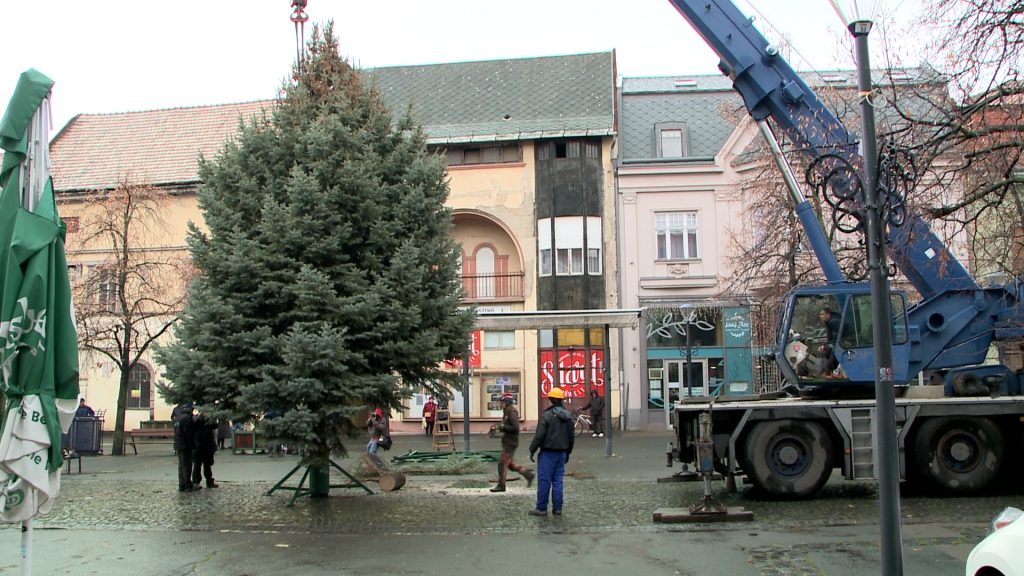 Megérkezett mindenki karácsonyfája a Fő térre (videó)