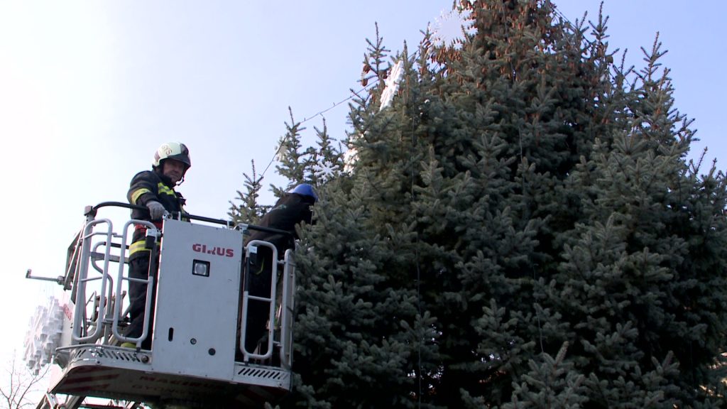 Feldíszítették a város karácsonyfáját