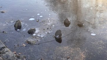 fotó: Sástó Turisztikai Központ facebook oldal