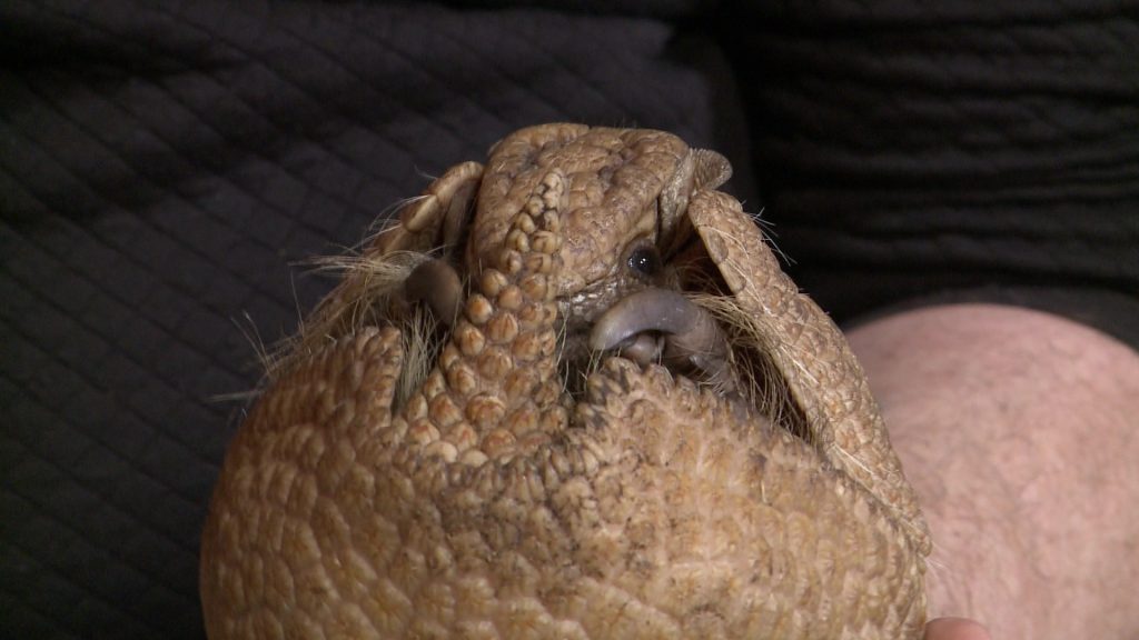 Tatut hozott a Mikulás a Gyöngyösi Állatkertbe (galéria)