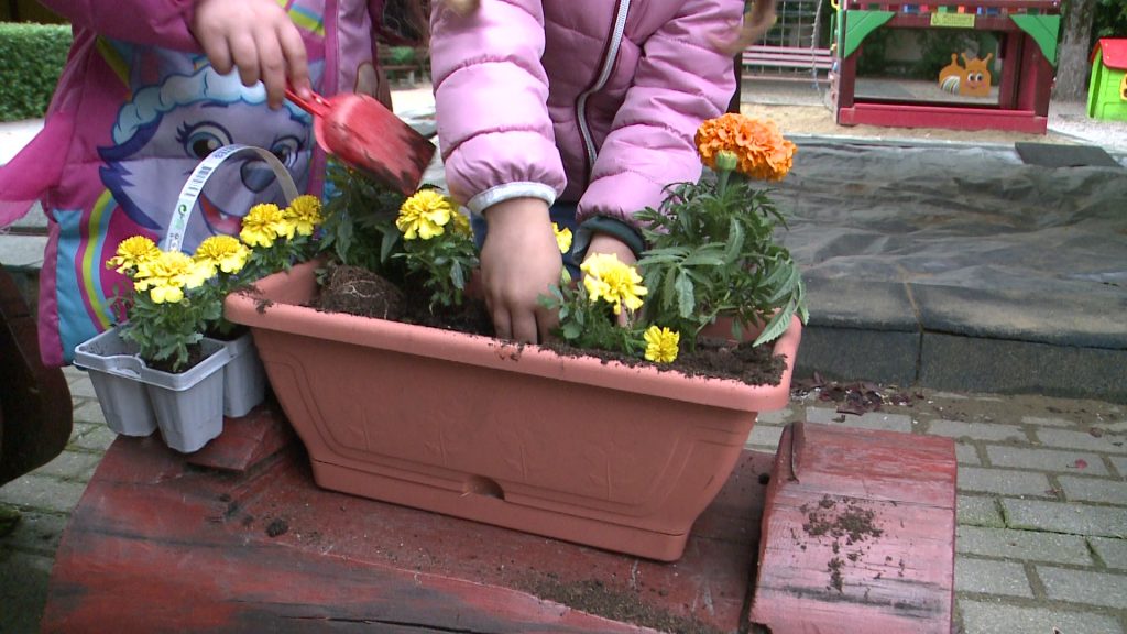 Környezettudatosság – újabb Örökös Zöld Óvoda cím Gyöngyösön