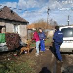 Állatmentés-Roncsautóhoz kötötték a csontsovány kutyát