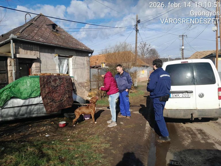 Állatmentés-Roncsautóhoz kötötték a csontsovány kutyát