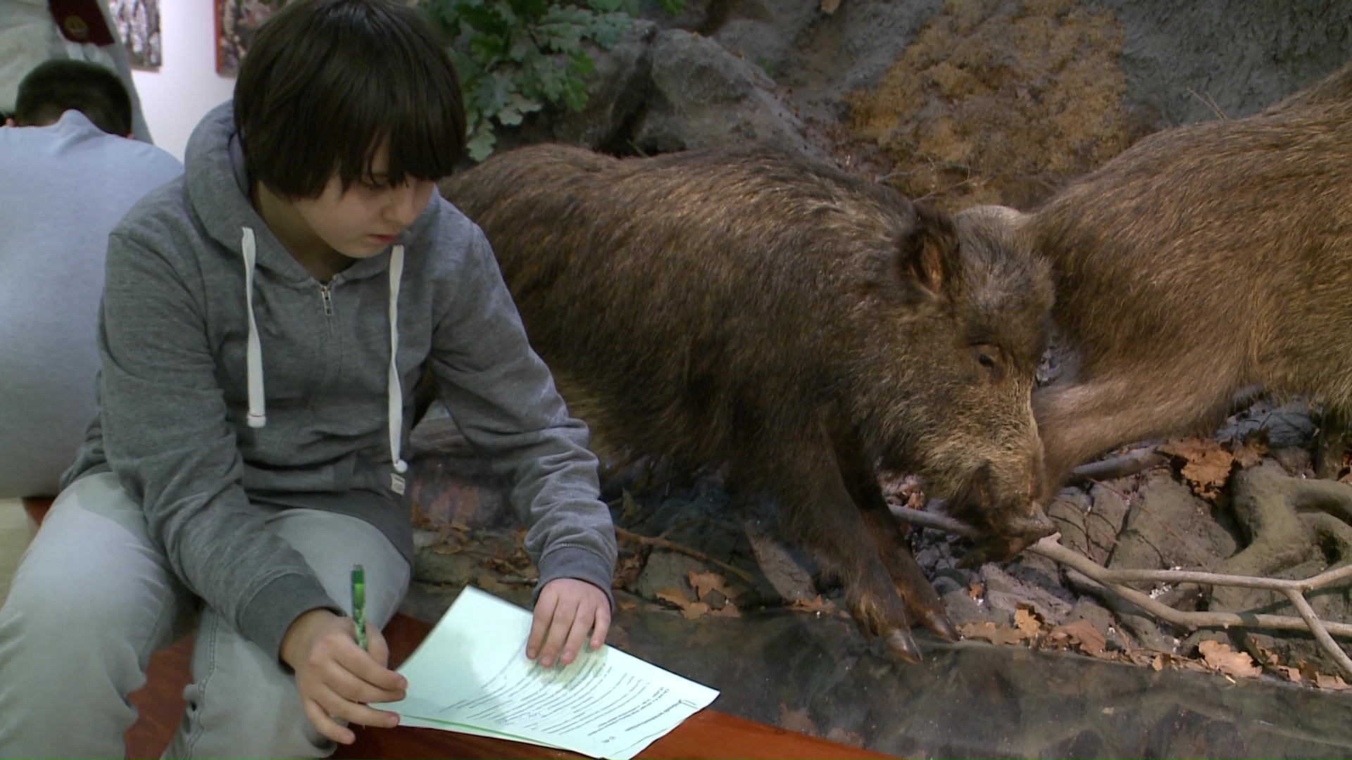 Gombák és állatvilág – diákok versenyeztek a múzeumban | Gyöngyös Ma