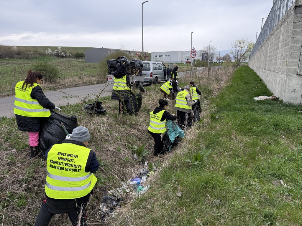 Fejenként fél köbméter szemetet szedtek az áruházaknál