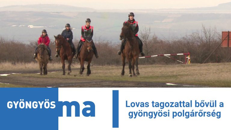 Lovas tagozattal bővül a gyöngyösi polgárőrség
