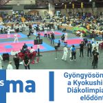 Gyöngyösön tartották a Kyokushin Karate Diákolimpia területi elődöntőjét