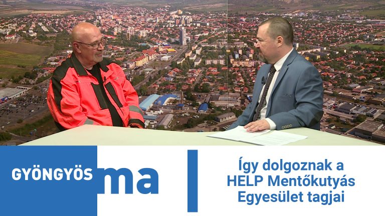 Így dolgoznak a HELP Mentőkutyás Egyesület tagjai