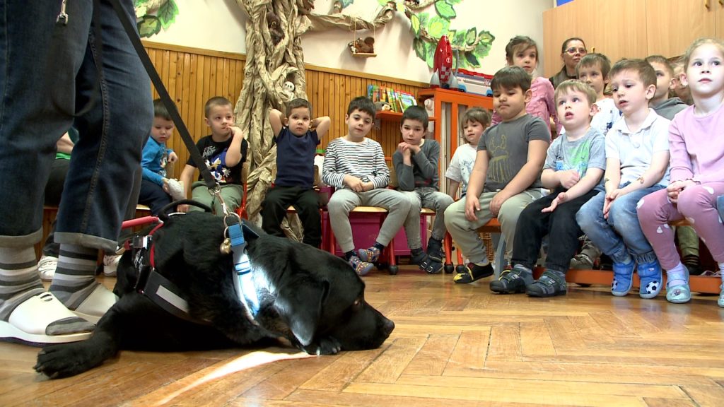 Állatvédelem-pedagógia – edukáció és érzékenyítés az oviban