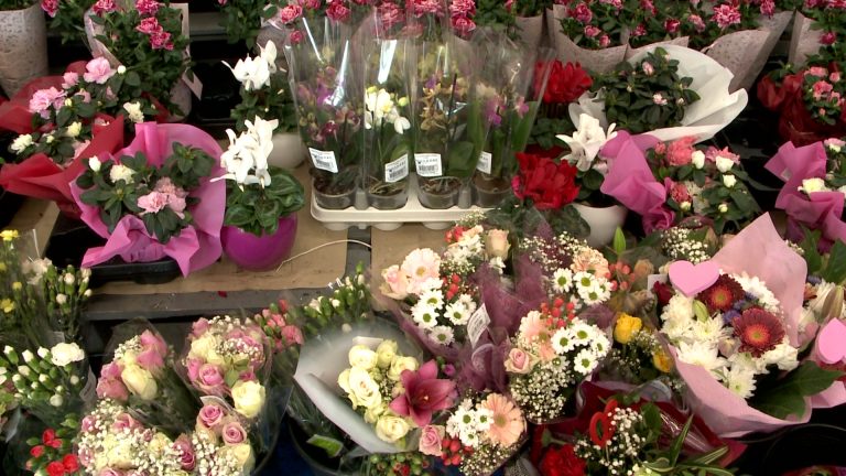 A rózsa és nárcisz dominál nőnapon