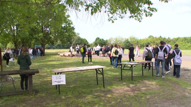 ÖKO forradalom – környezettudatossá válni szórakozva