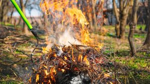 Tilos az avar és kerti hulladék égetése Gyöngyös belterületén