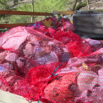 Több zsák szemetet gyűjtöttek a Kékes Turista Egyesület tagjai