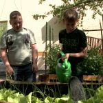 Saját kertet gondoznak a sportiskola diákjai