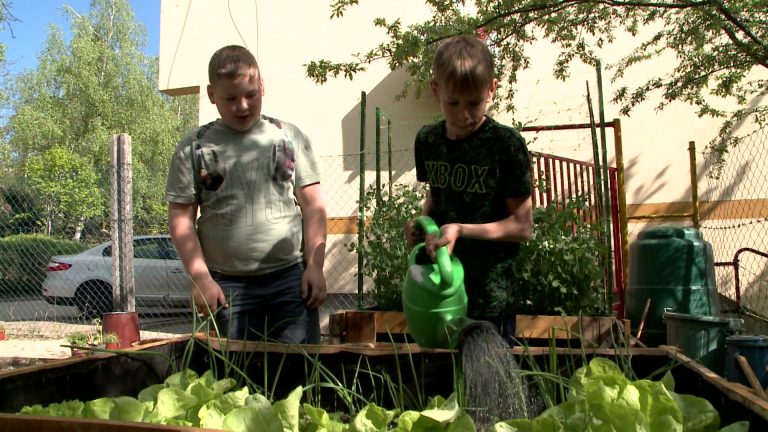 Saját kertet gondoznak a sportiskola diákjai