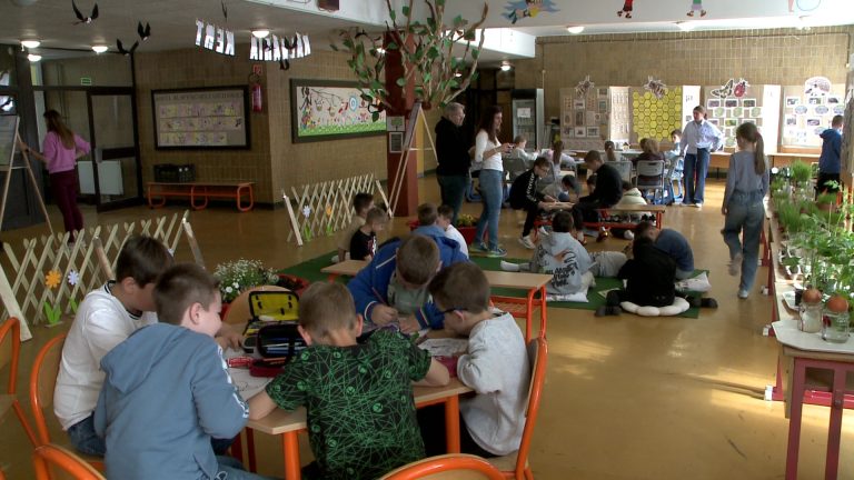 Fenntarthatósági hét: kertté változott az iskola aulája