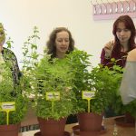 A lányok kerültek rivaldafénybe a campuson