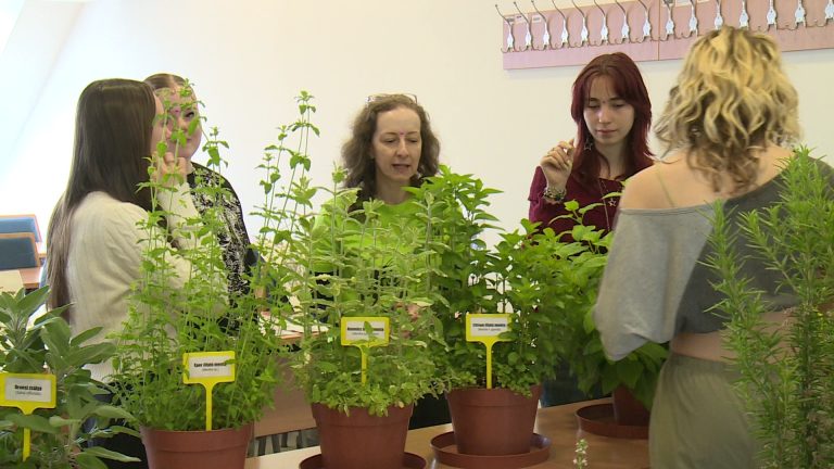 A lányok kerültek rivaldafénybe a campuson