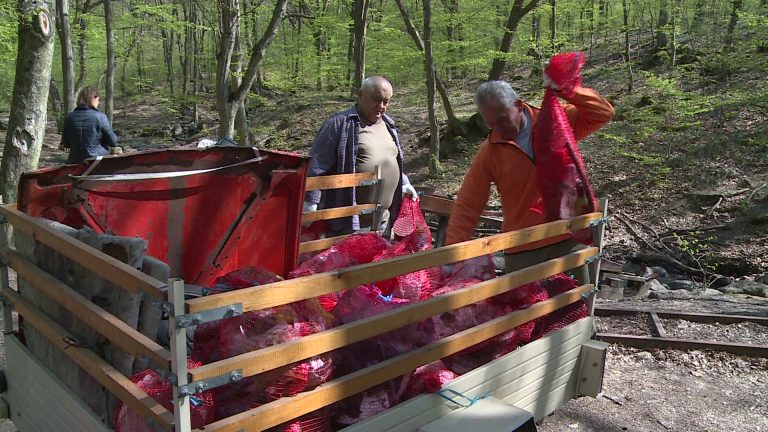 Hulladékgyűjtési túrát szervezett a Kékes Turista Egyesület