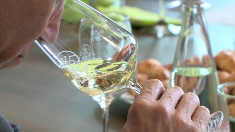 A mátrai borvidék legjobb nedűit keresték