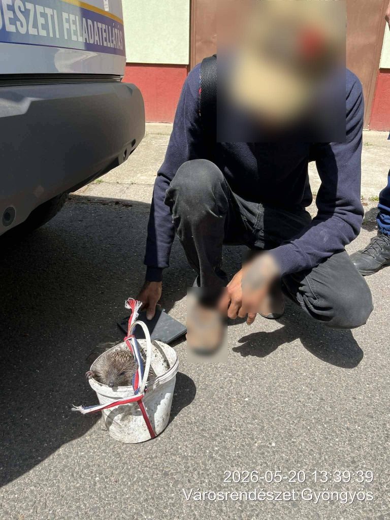 Sün lapult a körözött férfinél