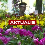 Bimbózó hagyomány – debütált a GYÖNGYvirág kiállítás – Aktuális 2026.05.11