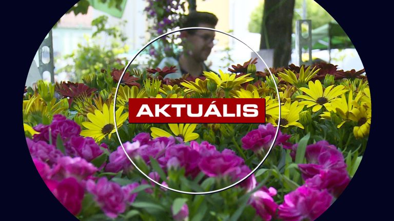 Bimbózó hagyomány – debütált a GYÖNGYvirág kiállítás – Aktuális 2026.05.11