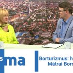 Borturizmus: helyi nedűk a Mátrai Bornapokon