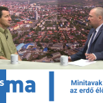 Minitavak segítik az erdő élővilágát