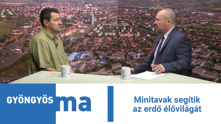 Minitavak segítik az erdő élővilágát