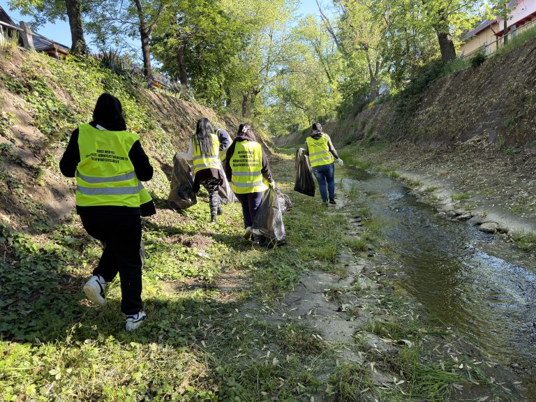 Autógumi, törmelék- a patakmedret tisztították az önkéntesek