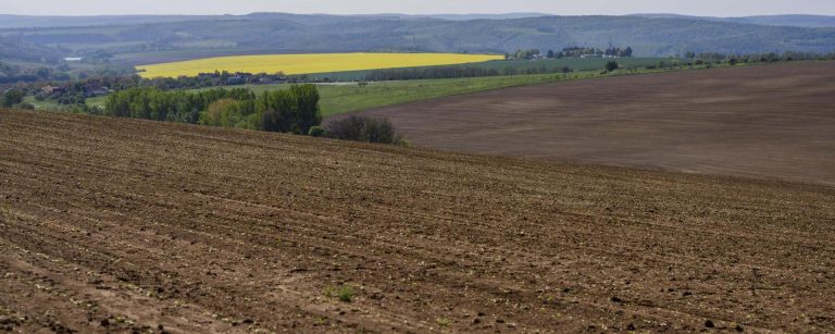 Kezdődik az éves határszemle – a mulasztók bírságra számíthatnak